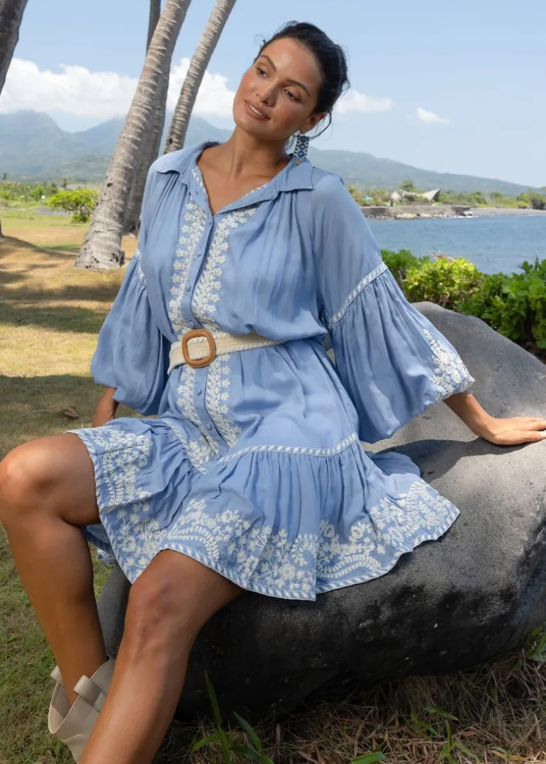 Embroidered Mini Dress Yara