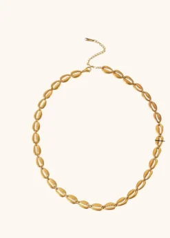 Shell Short Necklace