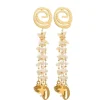 Stone Beads Tassel Earrings